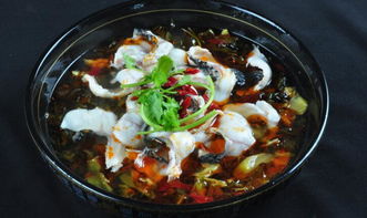 澳珀特高端食品加盟 中西餐飲的卓越優(yōu)勢(shì)與市場(chǎng)機(jī)遇